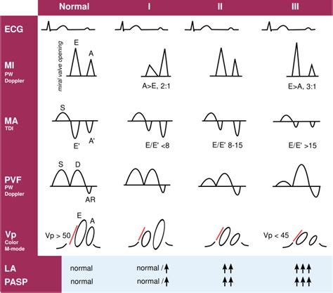 left ventricular diastolic function normal